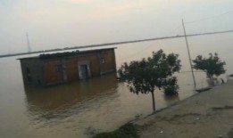 各大新闻爆料大石桥水灾,突发洪水肆虐，家园受损，救援行动紧急展开