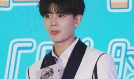 任嘉伦爆料家庭地位视频,揭秘明星家庭内部“权力”争夺战