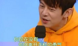 何炅爆料维嘉恋爱视频大全,揭秘明星恋情幕后故事